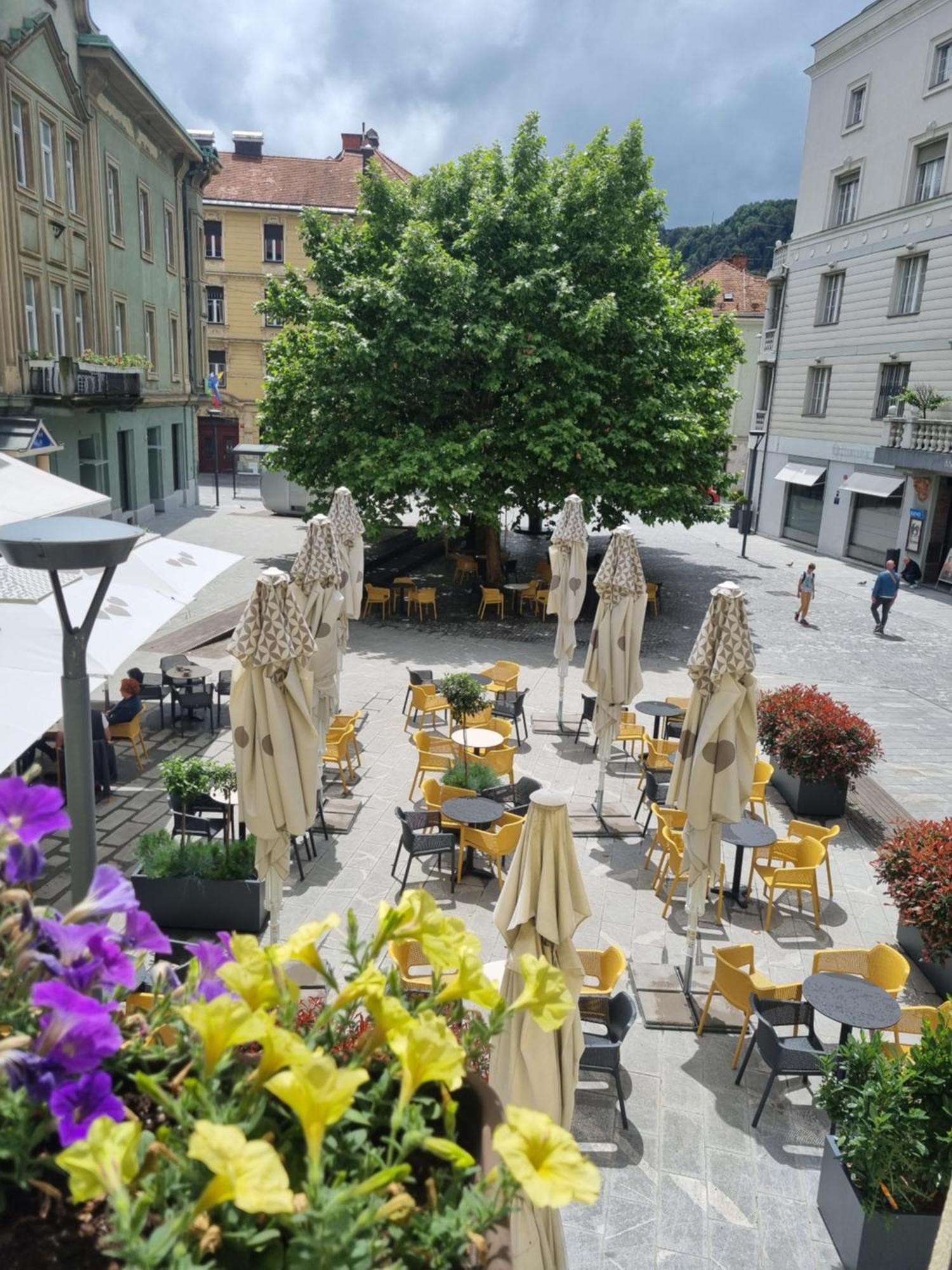 Apartments Fazarinc S Parkiriscem Celje Dış mekan fotoğraf