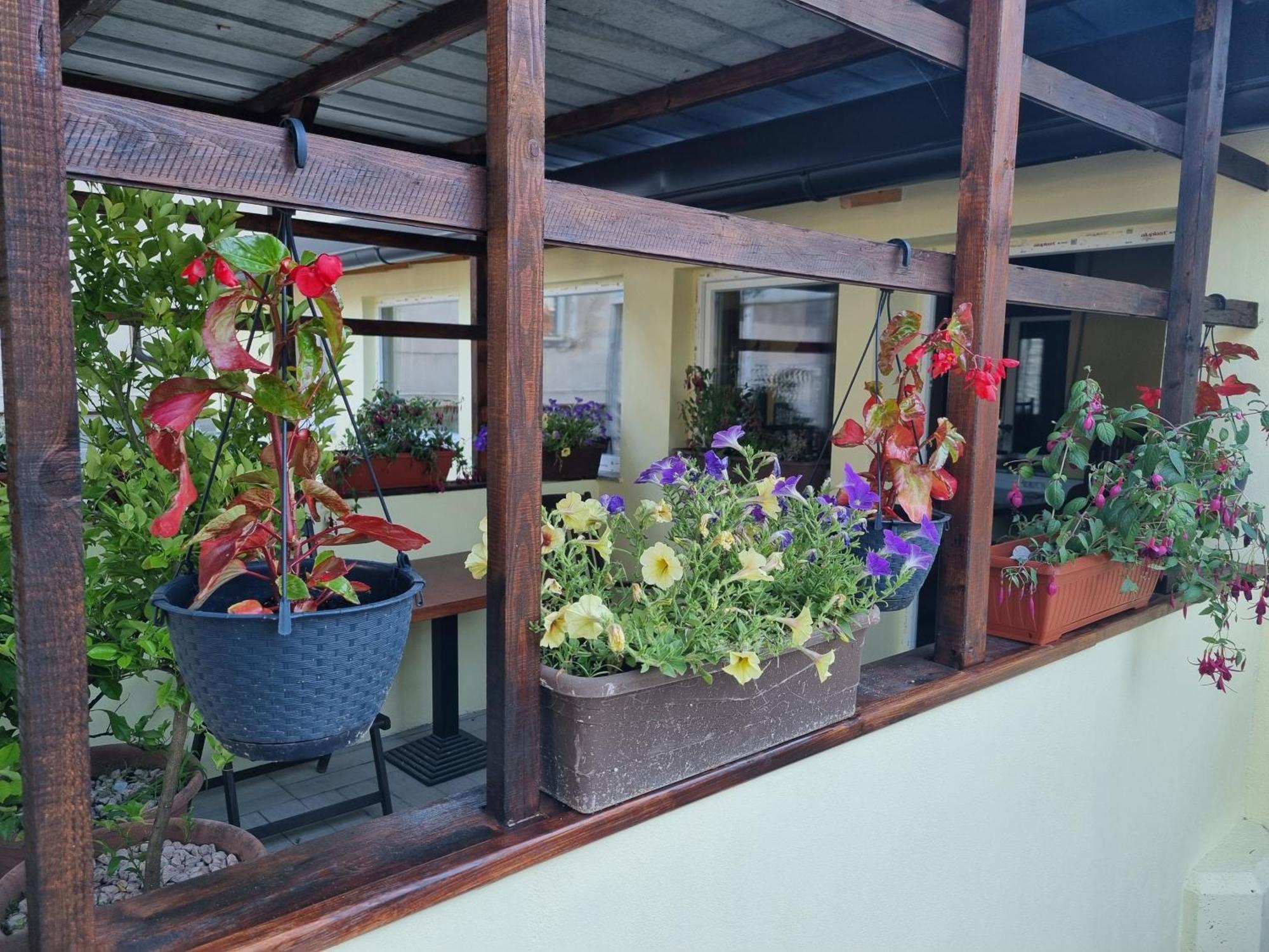 Apartments Fazarinc S Parkiriscem Celje Dış mekan fotoğraf