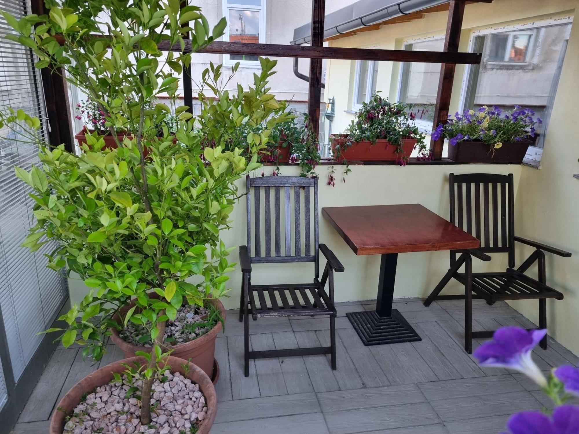 Apartments Fazarinc S Parkiriscem Celje Dış mekan fotoğraf