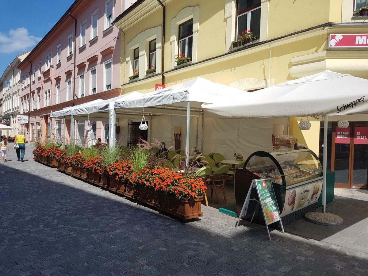 Apartments Fazarinc S Parkiriscem Celje Dış mekan fotoğraf