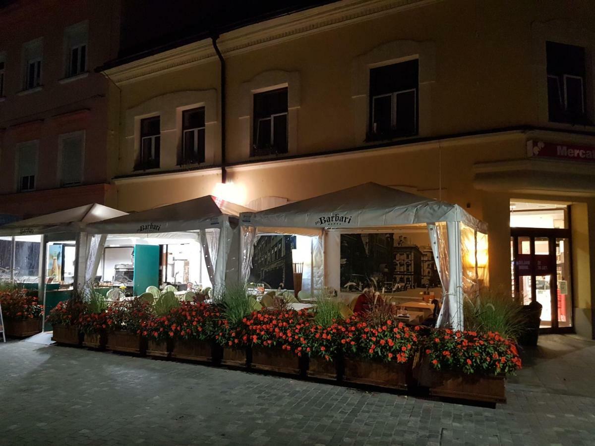 Apartments Fazarinc S Parkiriscem Celje Dış mekan fotoğraf
